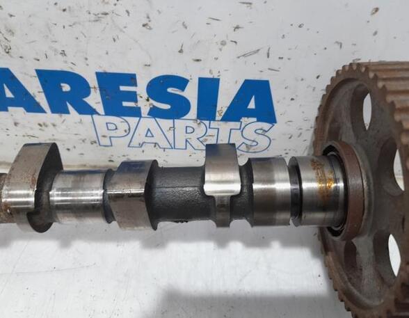 Camshaft FIAT ULYSSE (220_)