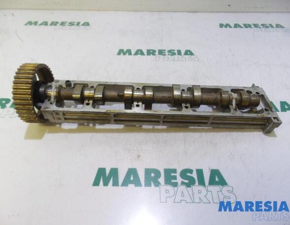 Camshaft CITROËN XSARA PICASSO (N68), PEUGEOT 406 (8B), CITROËN C5 I (DC_), CITROËN C5 II (RC_)