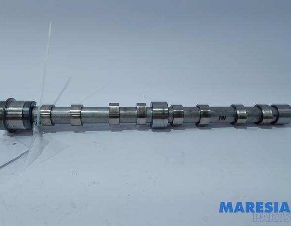 Camshaft FIAT DUCATO Van (250_, 290_)