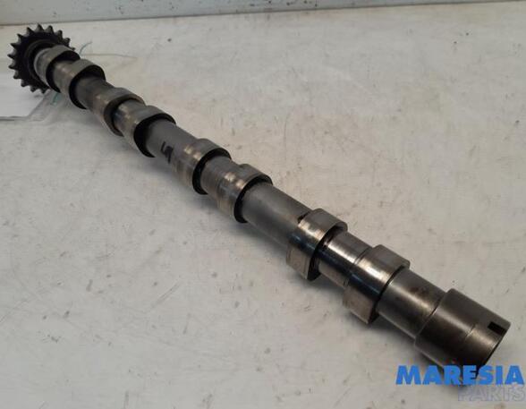 Camshaft FIAT SCUDO Van (270_, 272_)