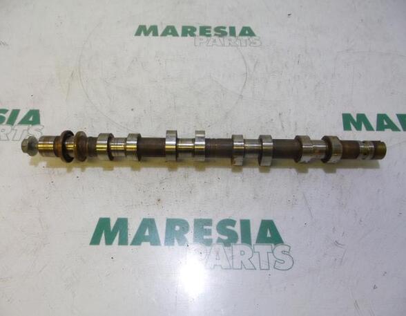 Camshaft RENAULT LAGUNA II Grandtour (KG0/1_)