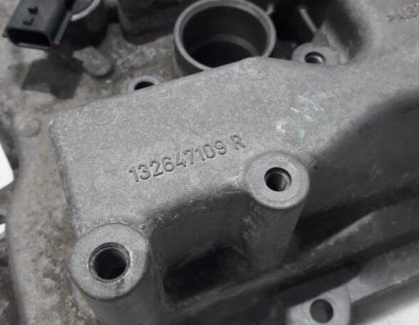 Cylinder Head Cover RENAULT Captur I (H5, J5), RENAULT Clio IV (BH)