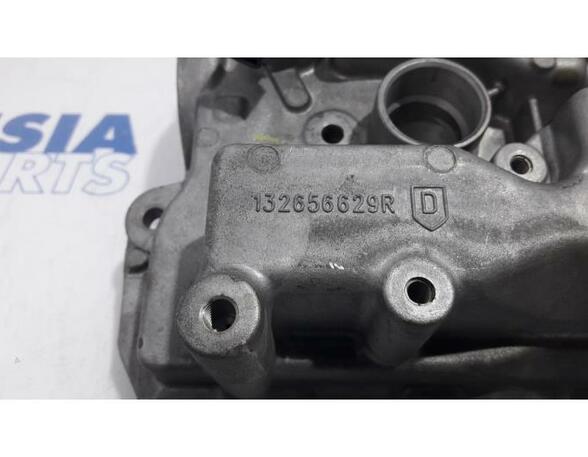 Cylinder Head Cover RENAULT Captur I (H5, J5), RENAULT Clio IV (BH)