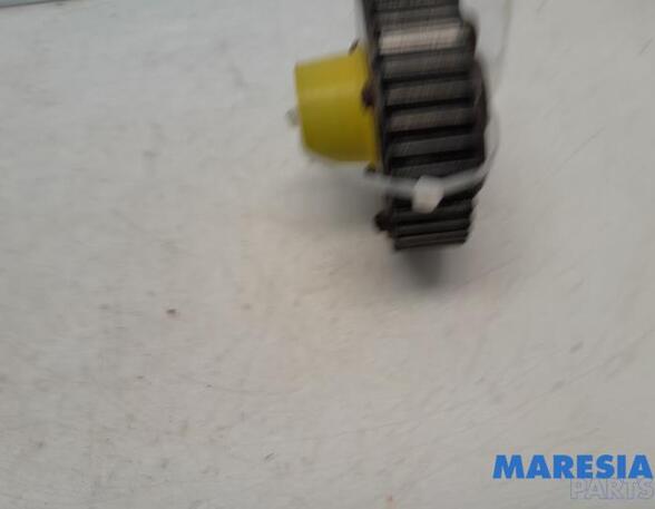 Camshaft Gear FIAT 500 (312_), FIAT 500 C (312_), FIAT GRANDE PUNTO (199_), FIAT PUNTO EVO (199_)