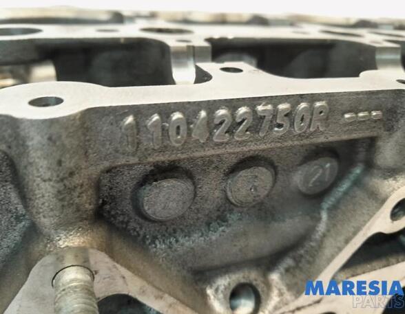 Cylinder Head RENAULT Master III Kasten (FV)