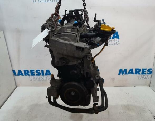 Motor kaal RENAULT Clio III (BR0/1, CR0/1)