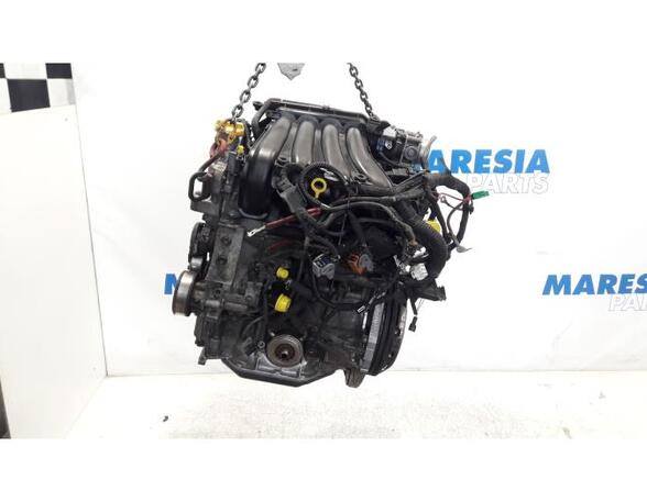 Bare Engine RENAULT Clio III (BR0/1, CR0/1)