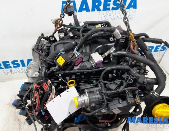 Bare Engine RENAULT Trafic III Kasten (FG)