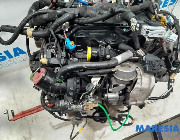 Bare Engine RENAULT Trafic III Kasten (FG)