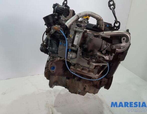 Motor ohne Anbauteile (Diesel) Renault Kangoo II Rapid FW0 8201535495 P20480014