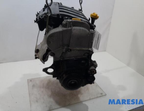 Motor kaal RENAULT CLIO III (BR0/1, CR0/1), RENAULT CLIO II (BB_, CB_)