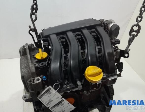 Motor kaal RENAULT CLIO III (BR0/1, CR0/1), RENAULT CLIO II (BB_, CB_)