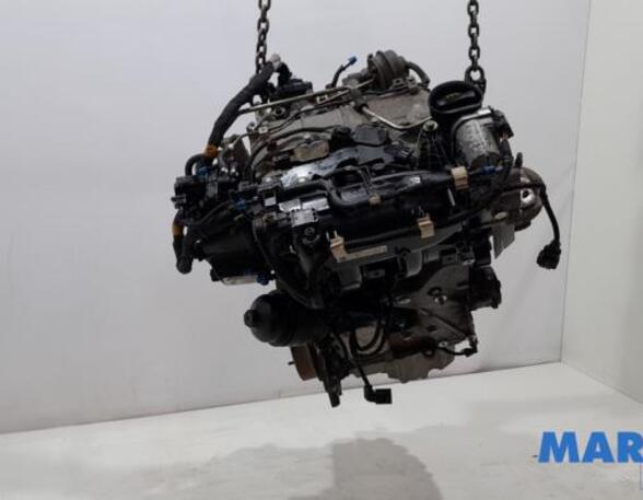 Motor kaal FIAT PANDA (312_, 319_), FIAT PANDA VAN (312_, 519_), FIAT 500 (312_), FIAT 500 C (312_)