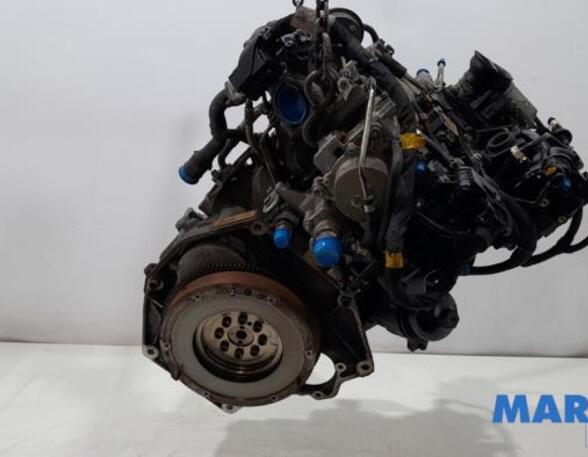 Motor kaal FIAT PANDA (312_, 319_), FIAT PANDA VAN (312_, 519_), FIAT 500 (312_), FIAT 500 C (312_)