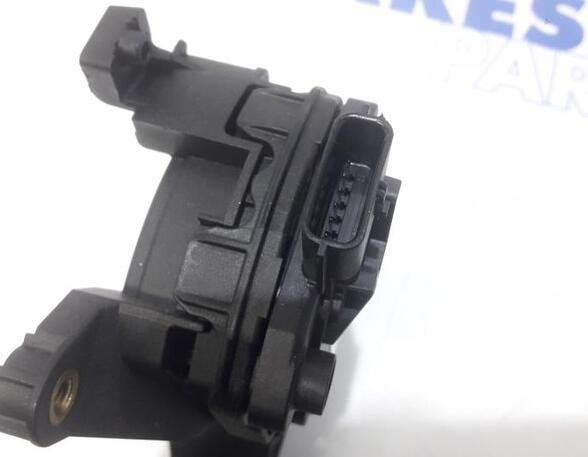 Throttle Position Sensor RENAULT CAPTUR I (J5_, H5_), RENAULT CLIO IV (BH_), RENAULT CLIO IV Grandtour (KH_)