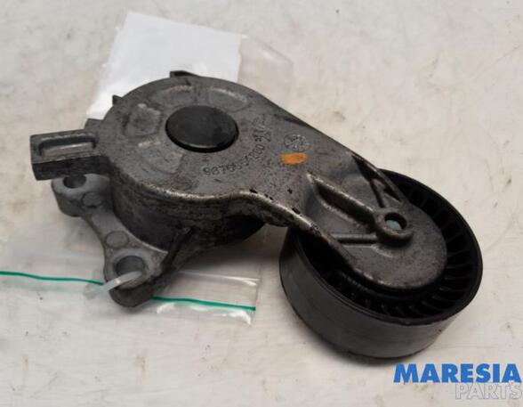 Repair Kit V Ribbed Belt Tensioner Lever CITROËN C3 II (SC_), CITROËN DS3