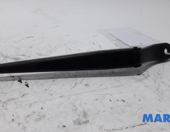 Wiper Arm RENAULT Twingo II (CN0)