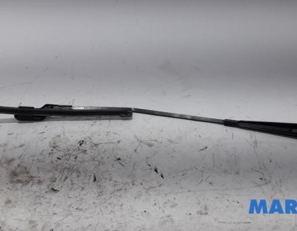 Wiper Arm RENAULT Twingo II (CN0)