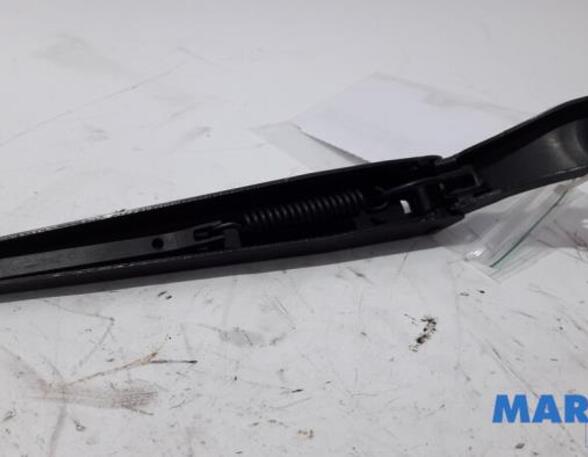 Wiper Arm RENAULT Twingo II (CN0)