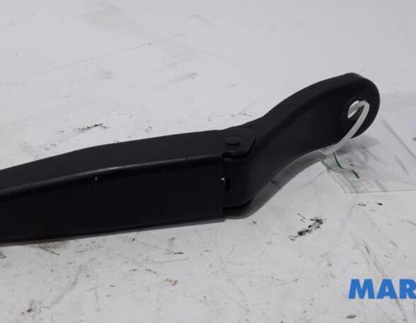 Wiper Arm RENAULT Twingo II (CN0)