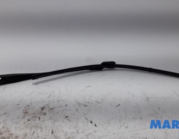 Wiper Arm RENAULT Twingo II (CN0)