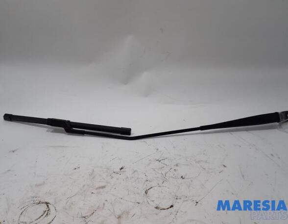 Wiper Arm CITROËN C3 II (SC), CITROËN C3 III (SX)