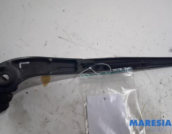 Wiper Arm PEUGEOT EXPERT Van (VF3A_, VF3U_, VF3X_), PEUGEOT EXPERT Platform/Chassis