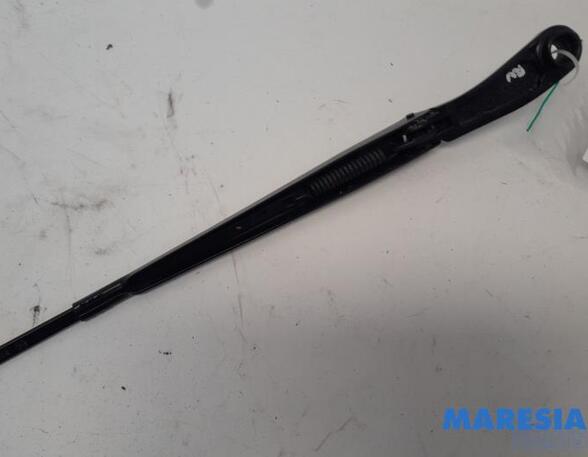 Wiper Arm ALFA ROMEO Giulia (952)