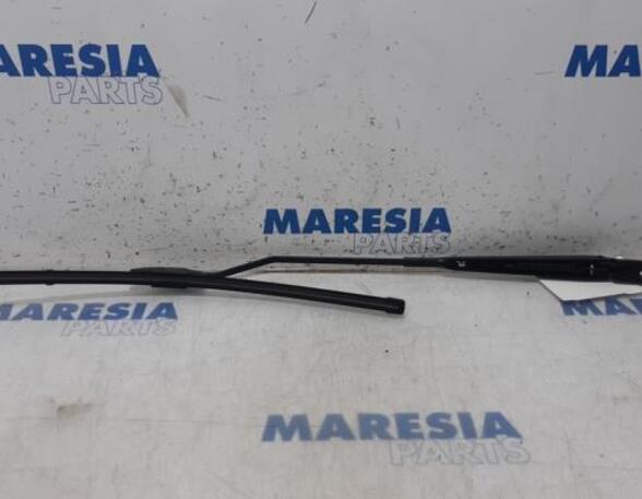 Wiper Arm RENAULT KANGOO Express (FW0/1_), RENAULT KANGOO / GRAND KANGOO (KW0/1_)