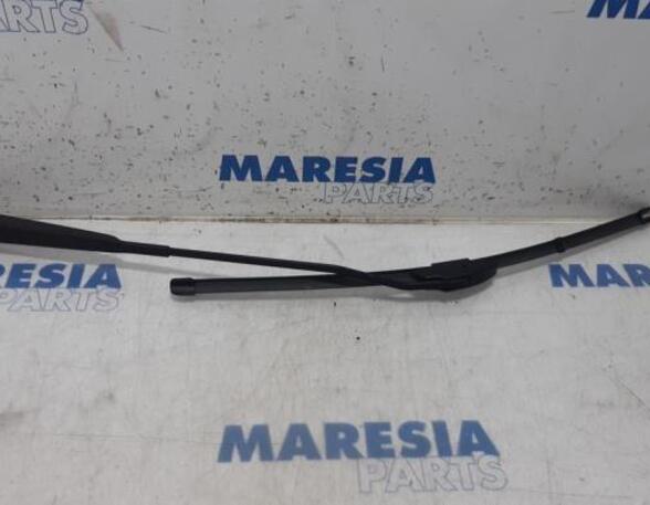 Wiper Arm RENAULT KANGOO Express (FW0/1_), RENAULT KANGOO / GRAND KANGOO (KW0/1_)