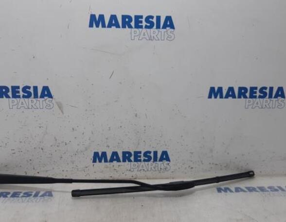 Wiper Arm RENAULT KANGOO Express (FW0/1_), RENAULT KANGOO / GRAND KANGOO (KW0/1_)