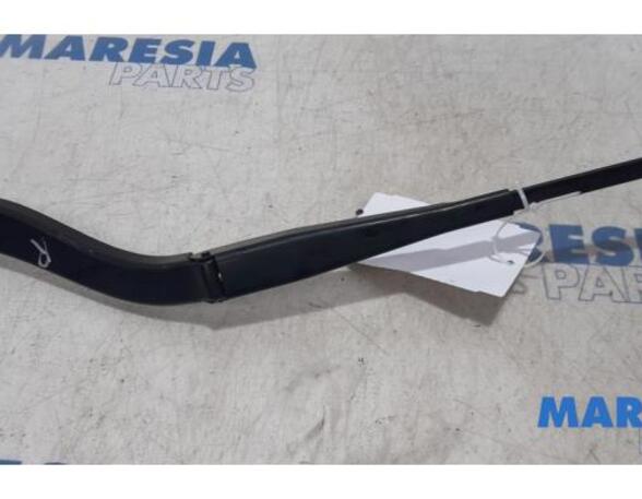 Wiper Arm OPEL VIVARO B Van (X82), PEUGEOT 508 I (8D_), PEUGEOT 308 CC (4B_), PEUGEOT 5008 (0U_, 0E_)