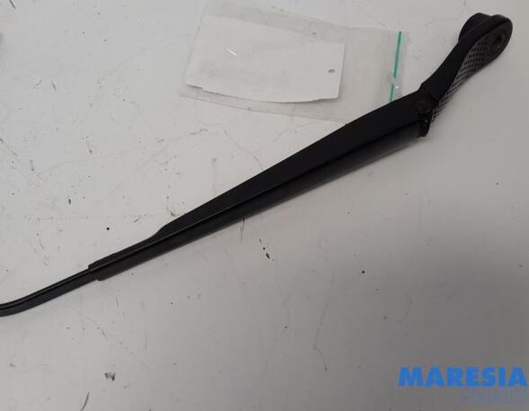 Wiper Arm RENAULT SCÉNIC III (JZ0/1_), RENAULT GRAND SCÉNIC III (JZ0/1_)