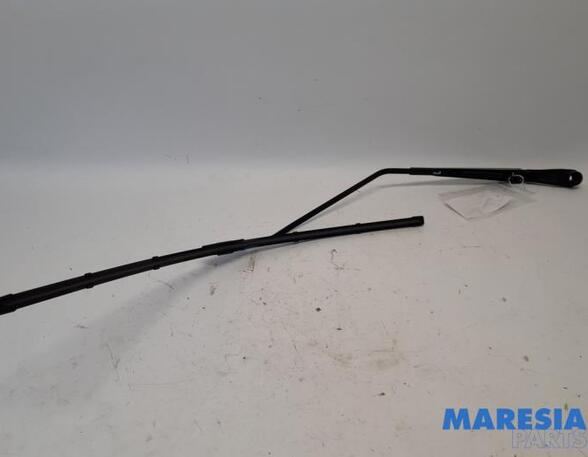 Wiper Arm RENAULT SCÉNIC III (JZ0/1_), RENAULT GRAND SCÉNIC III (JZ0/1_)