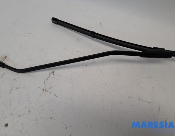 Wiper Arm RENAULT SCÉNIC III (JZ0/1_), RENAULT GRAND SCÉNIC III (JZ0/1_)