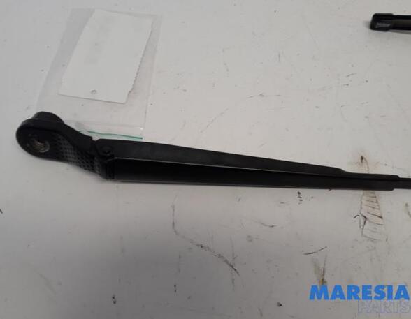 Wiper Arm RENAULT SCÉNIC III (JZ0/1_), RENAULT GRAND SCÉNIC III (JZ0/1_)