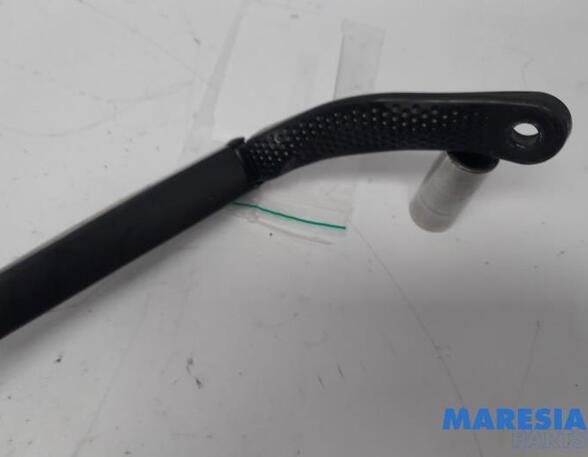 Wiper Arm PEUGEOT 307 CC (3B)