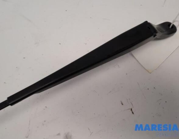 Wiper Arm PEUGEOT 208 I (CA_, CC_), PEUGEOT 2008 I (CU_), CITROËN C3 II (SC_), CITROËN C3 III (SX)