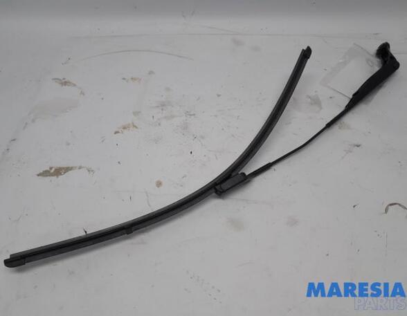 Wiper Arm FIAT 500 (312_), FIAT 500 C (312_)