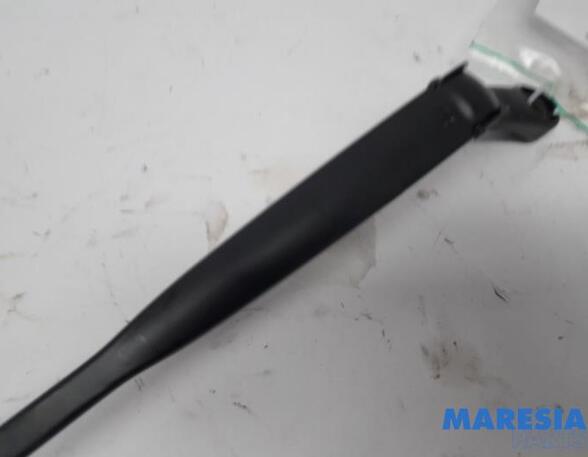 Wiper Arm FIAT 500 (312_), FIAT 500 C (312_)