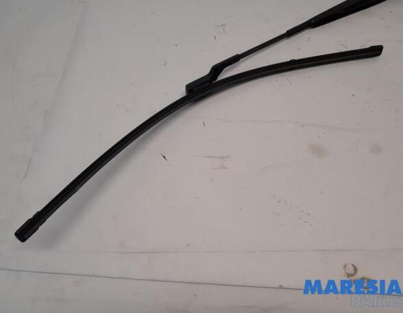 Wiper Arm CITROËN C4 III (BA_, BB_, BC_)