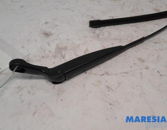 Wiper Arm FIAT 500 (312_), FIAT 500 C (312_)