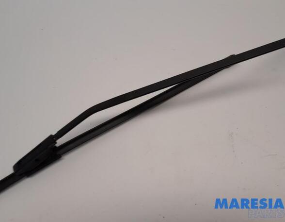 Wiper Arm RENAULT SCÉNIC III (JZ0/1_), RENAULT GRAND SCÉNIC III (JZ0/1_)