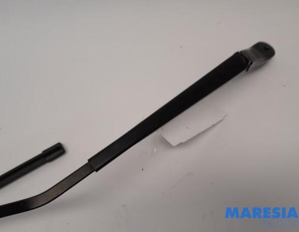 Wiper Arm RENAULT SCÉNIC III (JZ0/1_), RENAULT GRAND SCÉNIC III (JZ0/1_)