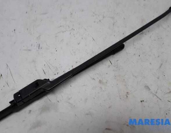 Wiper Arm PEUGEOT 308 SW II (LC_, LJ_, LR_, LX_, L4_), PEUGEOT 308 II (LB_, LP_, LW_, LH_, L3_)