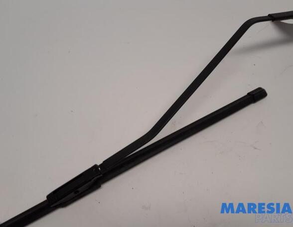 Wiper Arm RENAULT SCÉNIC III (JZ0/1_), RENAULT GRAND SCÉNIC III (JZ0/1_)