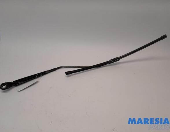 Wiper Arm RENAULT SCÉNIC III (JZ0/1_), RENAULT GRAND SCÉNIC III (JZ0/1_)