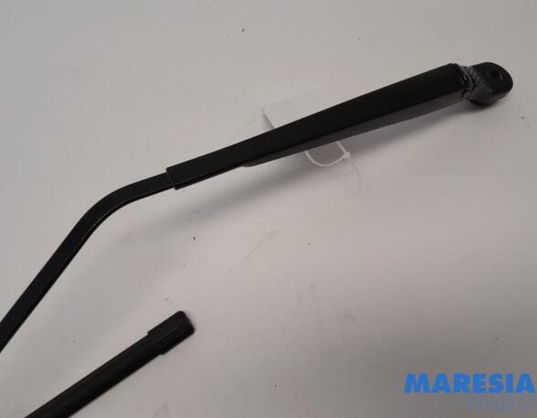 Wiper Arm RENAULT SCÉNIC III (JZ0/1_), RENAULT GRAND SCÉNIC III (JZ0/1_)