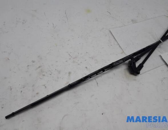 Wiper Arm CITROËN C1 (PM_, PN_), PEUGEOT 107 (PM_, PN_)