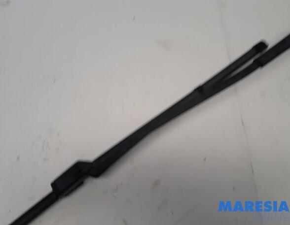 Wiper Arm CITROËN DS4 (NX_), CITROËN C4 II (B7), DS DS 4 / DS 4 CROSSBACK (NX_)